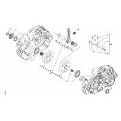 BEARING TOP END 125 CC SILVER N.15  IN THE ILLUSTRATION